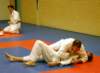 Photo Number 11