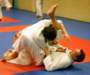 Photo Number 13